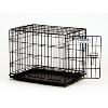 プロバリューケンネル5000 今月のセール品